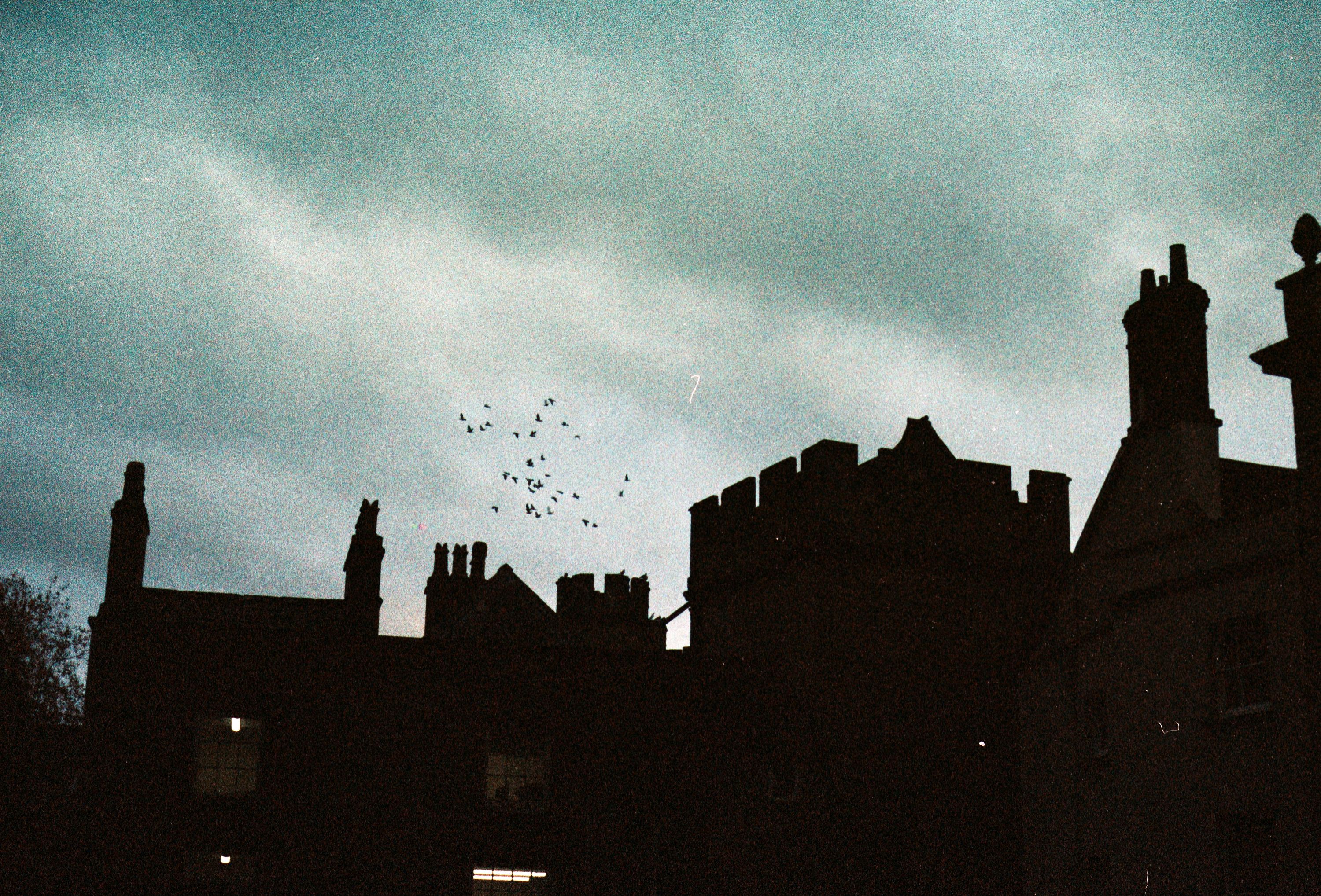 La Princesse Vampire, un frisson gothique en son 3D